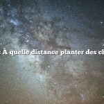 Question : À quelle distance planter des chous verts